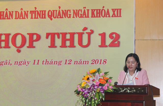 Hội đồng nhân dân tỉnh thảo luận việc giao biên chế công chức cho các cơ quan, tổ chức hành chính nhà nước của tỉnh Quảng Ngãi năm 2019