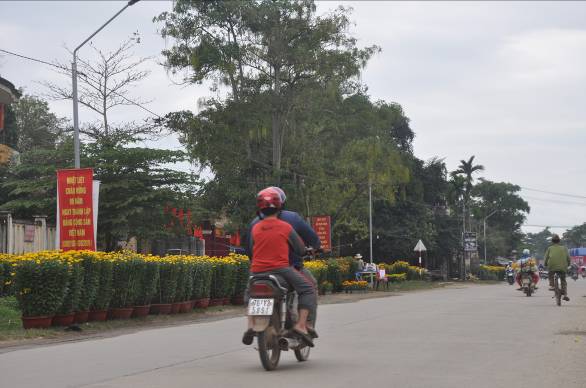 Sơn Tịnh: Đón Xuân mới - vui trên những vùng quê văn hóa tiêu biểu