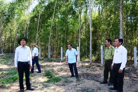 HĐND tỉnh Quảng Ngãi giám sát tại huyện Sơn Tịnh