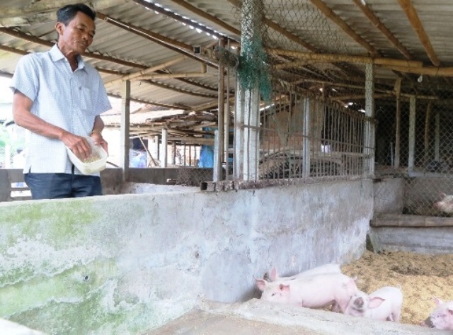 HĐND tỉnh giám sát các dự án sử dụng kinh phí chi sự nghiệp khoa học và công nghệ tại huyện Sơn Tịnh