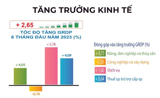Quảng Ngãi: Kinh tế- xã hội 6 tháng đầu năm đạt kết quả tích cực