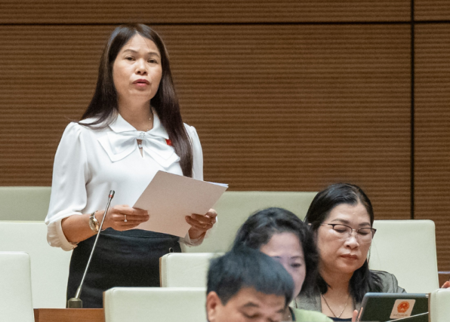 Đại biểu góp ý dự thảo Luật Tổ chức Tòa án nhân dân (sửa đổi)