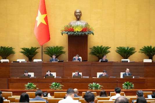 Đại biểu Quốc hội tỉnh thảo luận ở hội trường về Dự án Luật Chuyển đổi số